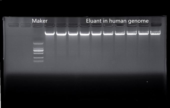 Flexible And Reliable Nucleic Acid Extractor Libex For Rapid Extraction 1