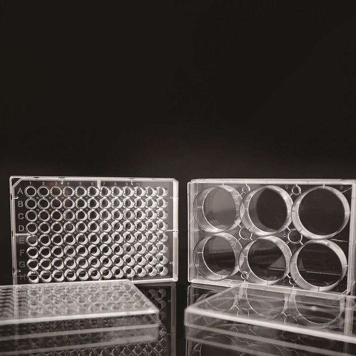 Lab Disposable EDGE 6 Well Cell Culture Plate