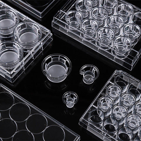 Laboratory Experiment Well Volume 2.6ml Cell Inser