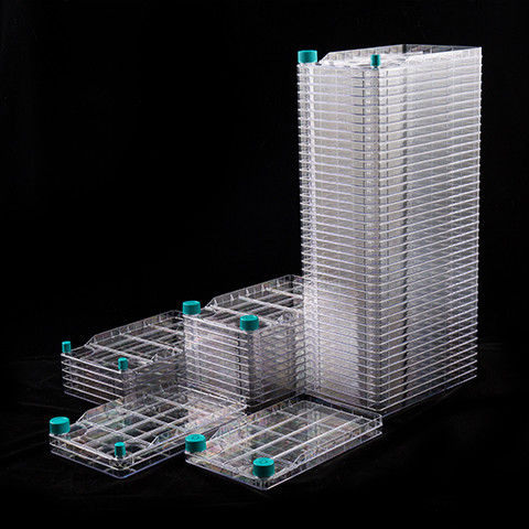 Cell BioFactory 1 Layer Cultivation 647cm PCR Labo