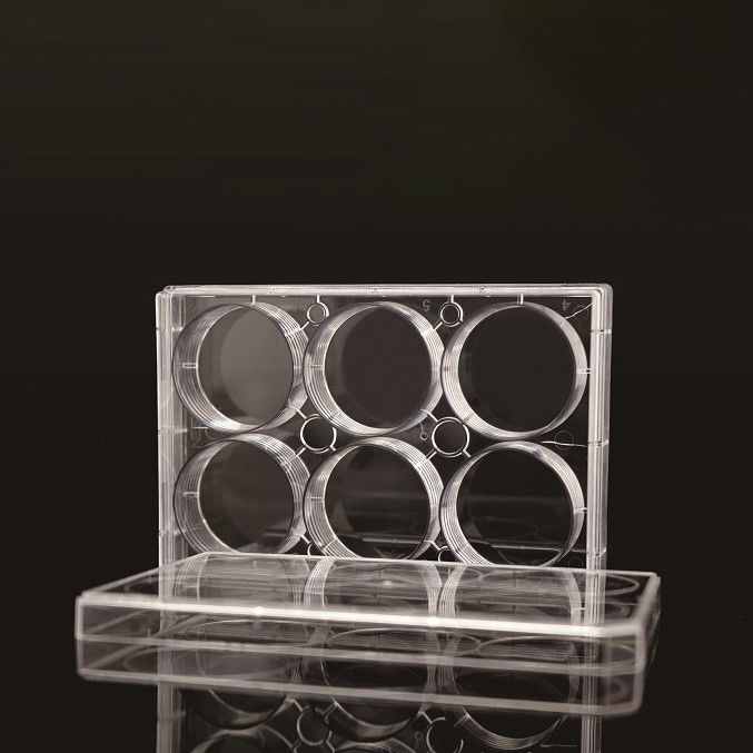 6 Well TC PCR Laboratory EDGE Cell Plates