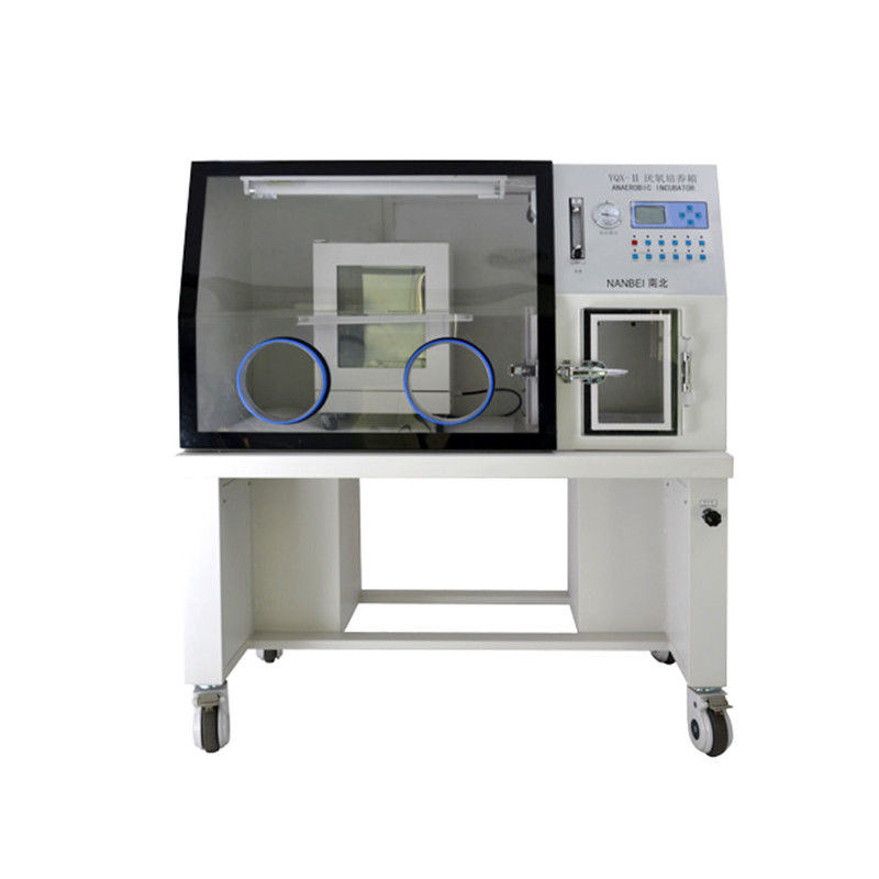 Anaerobic Incubator Operating Room Laboratory Thermostat with CE