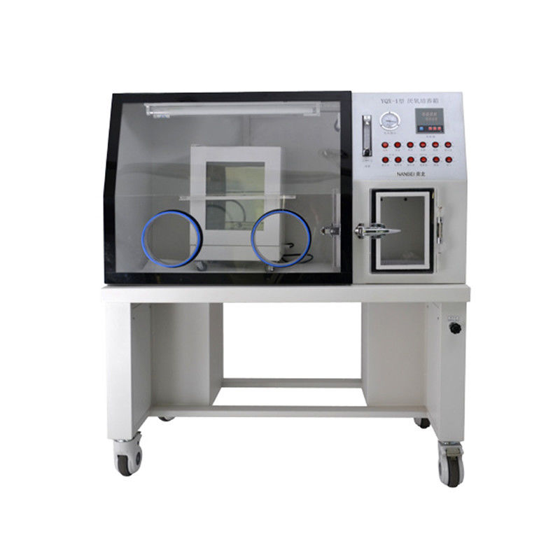 Anaerobic Incubator Operating Room Laboratory Thermostat with CE