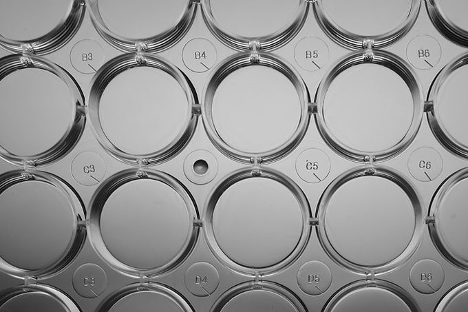 6 well 9.5cm Cell Culture Plates For P3 Laboratory 3