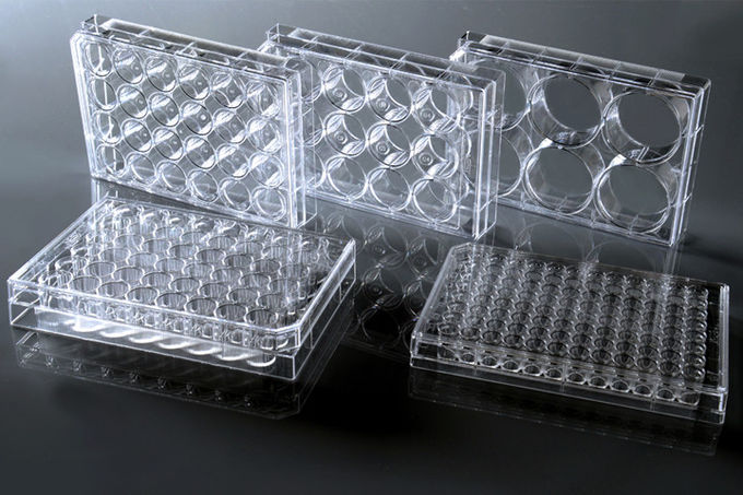 6 well 9.5cm Cell Culture Plates For P3 Laboratory 1