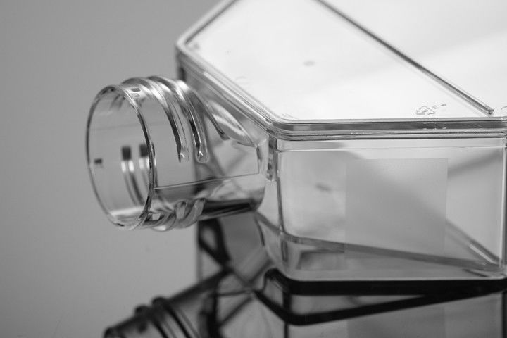 25cm lab instrument Cell Culture Flasks
