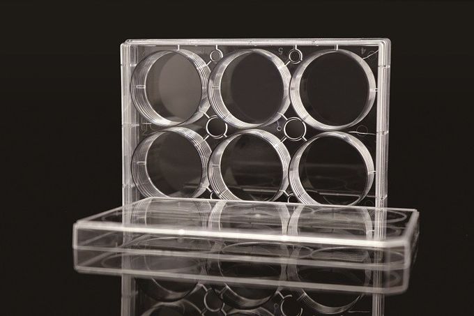 6 Well TC PCR Laboratory EDGE Cell Plates 1