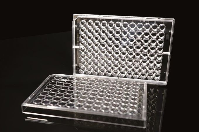 6 Well TC PCR Laboratory EDGE Cell Plates 0