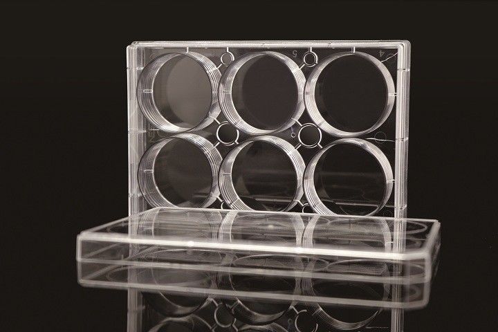 6 Well TC PCR Laboratory EDGE Cell Plates
