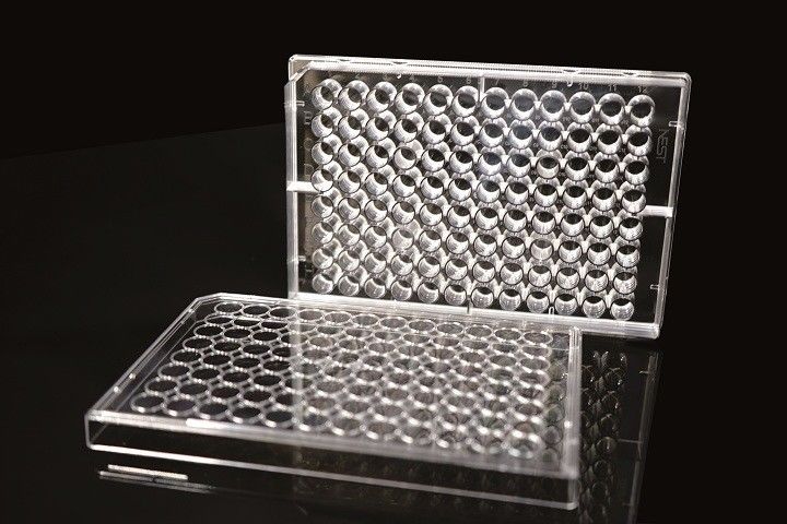 6 Well TC PCR Laboratory EDGE Cell Plates