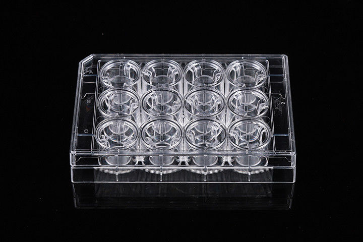 Cell Insert Multiple Well Plate 24mm PCR Laboratory