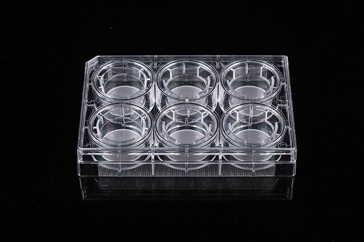 Cell Insert Multiple Well Plate 24mm PCR Laboratory