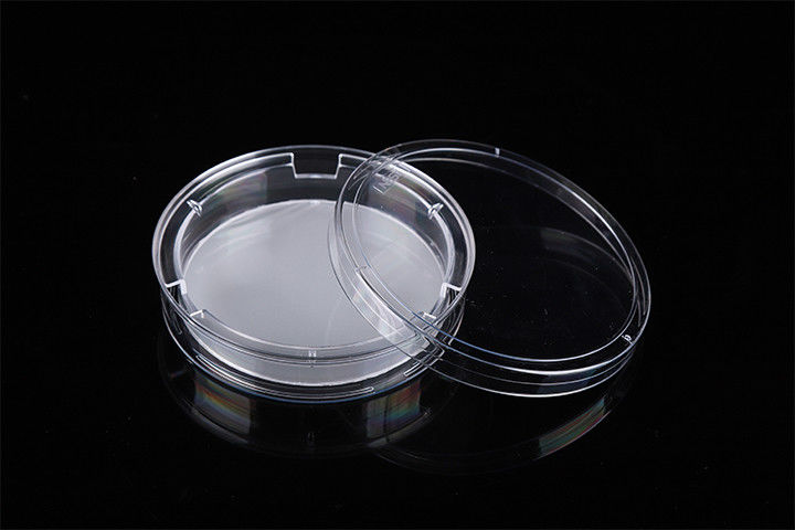 Cell Insert Multiple Well Plate 24mm PCR Laboratory
