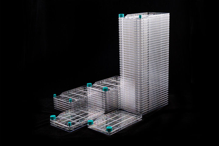 Cell BioFactory 1 Layer Cultivation 647cm PCR Laboratory