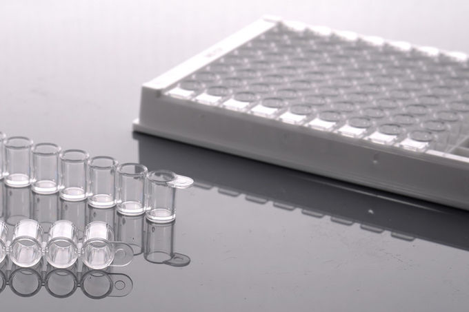 P3 Laboratory ANSI ELISA 504201 PCR Well Plate 1