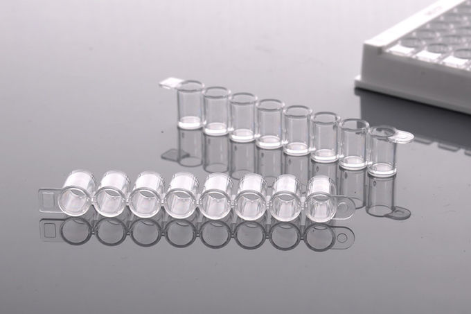 P3 Laboratory ANSI ELISA 504201 PCR Well Plate 0