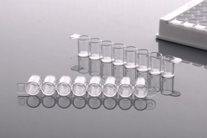 P3 Laboratory ANSI ELISA 504201 PCR Well Plate