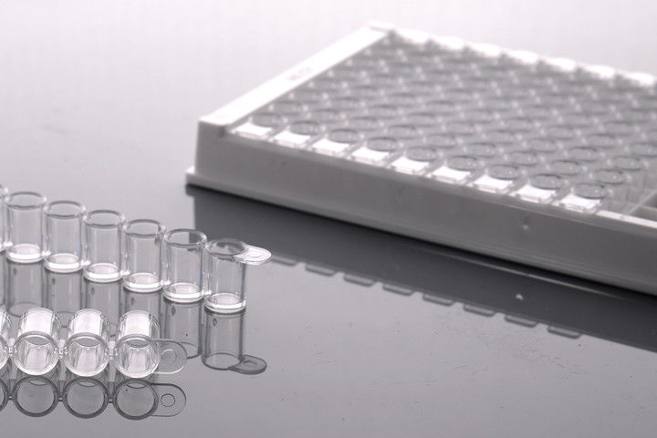 P3 Laboratory ANSI ELISA 504201 PCR Well Plate