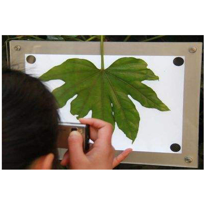 8.0M Px Digital Leaf Area Meter WiFi 4G Agricultural Instruments